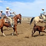 Randy Elmer - @randy.elmer.3 - Instagram