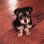 Randy Emory - @randy.emory.58 - Instagram