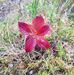 Randi Bull Enger - Facebook