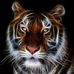 Randy Enos - Facebook