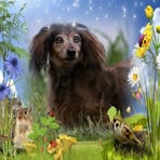 Randy Epp - Facebook
