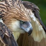 Randy Erbulas - @randyerbulas - Instagram