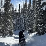 Randy Erdmann - @attroxdiver - Instagram