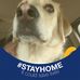 Randy Erdmann - Facebook