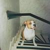 randyessig - @randyessig - TikTok