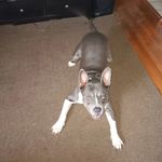 randy - @randyestep62 - Instagram