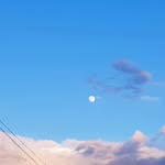 강신하 - @randyewyld - Instagram