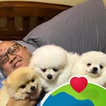 Randy delos Santos - @randyfalconsantos - Instagram