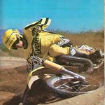 Randy Falco - @randy.falco - Instagram