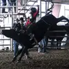 Randy Farrington - @randyfarrington0 - TikTok