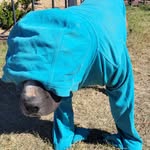 Randy Fast - @randyfast2 - Instagram