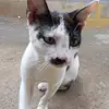 Faustino Randy - @faustino.randy - TikTok