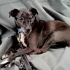 Randy Ferris - @randy.ferris7 - TikTok