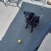 Randy Fields - Facebook