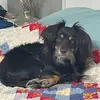 Randy Fields - @randy.fields73 - TikTok