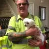 Randy Fields - @randy.fields5 - TikTok