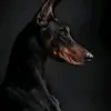 Randy Fortier - @randyfortier_6881 - TikTok