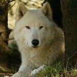 Randy Foreman - @randy.foreman.75839 - Instagram