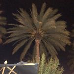 Randy Foreman - @foreman3386 - Instagram