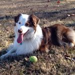 Randy Forst - @forstfinds - Instagram