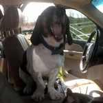 Randy Forster - @randy.forster.39 - Instagram