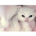 Randy Fortner - @randyfortner6126 - Instagram