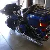 Randy Fox191 - @randyfox191 - TikTok
