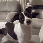 Randy Fox - @randyfox1954 - Instagram