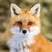 Randy Fox - Facebook