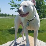 Randy Frazier - @randy_frazier1964 - Instagram