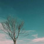 Randy Gabriel Nadeak - @randygabrielnadeak_28 - Instagram