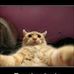 Randy Galvan - Facebook