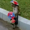 randygalvan - @randygalvan - TikTok