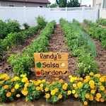 Randy Breen’s Garden - @mr.breensgreens - Instagram
