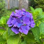 Randy Garton - @rcgarton - Instagram