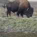 Randy Gaskill - Facebook