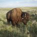Randy Gaskill - Facebook
