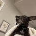 Randy Gaston - Facebook