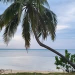 Randy Geddes - @geddes6879 - Instagram