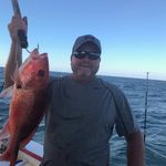 Randy Geer - @randygturkeys - Instagram