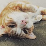 Randy Geer - @randygeer68 - Instagram