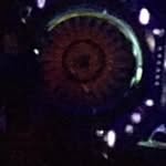 Andy Gehlhar - @gehlharandy - Instagram