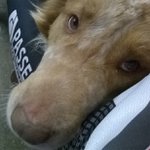 Randy - @randygentile2012 - Instagram