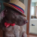 Randy Gerard - @randy.gerard.946 - Instagram