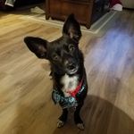 Randy Giles - @randygilesmarie - Instagram