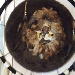 Randy Gillespie - @randy.gillespie.372 - Instagram