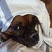 Randy Glaser - Facebook