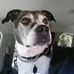Randy Gleason - Facebook
