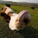 Randy Glover - @warfieldwire - Instagram