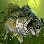 Randy Goddard - @bassmaster.24 - Instagram
